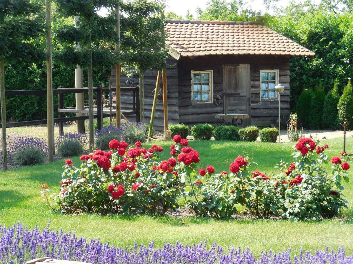 B & B " De 7 Sprong " Sevenum Eksteriør bilde