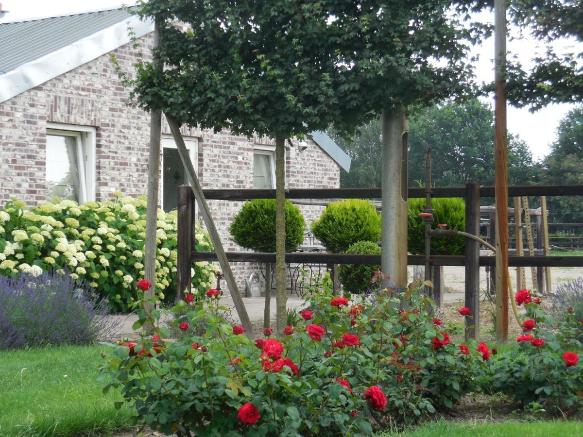 B & B " De 7 Sprong " Sevenum Eksteriør bilde